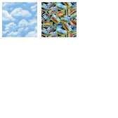 Fabric Collection 51865