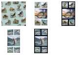 Fabric Collection 56887