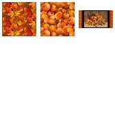 Fabric Collection 56888