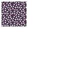 Fabric Collection 57992