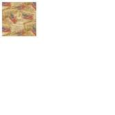 Fabric Collection 57995