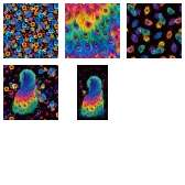 Fabric Collection 58108