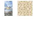 Fabric Collection 58111