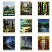 Fabric Collection 61083