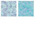 Fabric Collection 62143