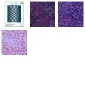 Fabric Collection 63933