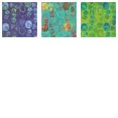 Fabric Collection 65706