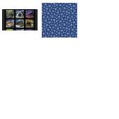 Fabric Collection 65935