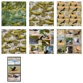 Fabric Collection 66346