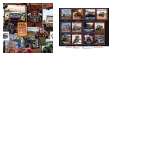 Fabric Collection 66347