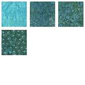 Fabric Collection 66429