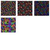 Fabric Collection 66678