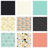 Fabric Collection 66701