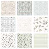 Fabric Collection 66706