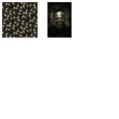 Fabric Collection 66999