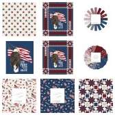 Fabric Collection 67318