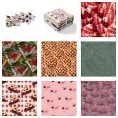 Fabric Collection 67333