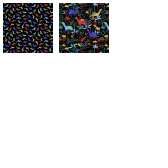 Fabric Collection 67504